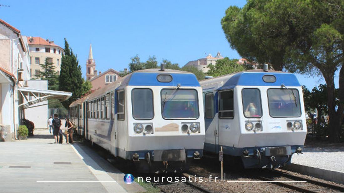 Les deux trains mensonges et vrit