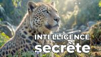 ME de GAA L'INTELLIGENCE SECRTE de la NATURE (SecretsDeGaa partie 5)