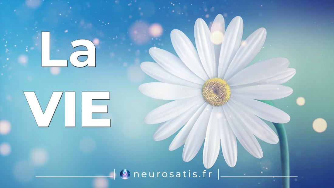 L'thique de la Vie (Terri Schiavo) Kryeon