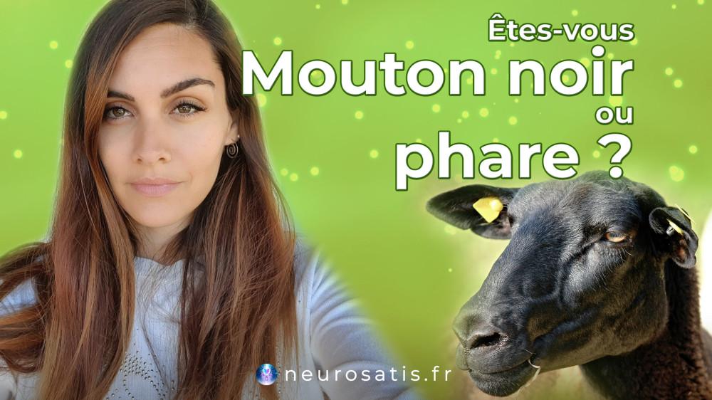 Mouton noir ou phare