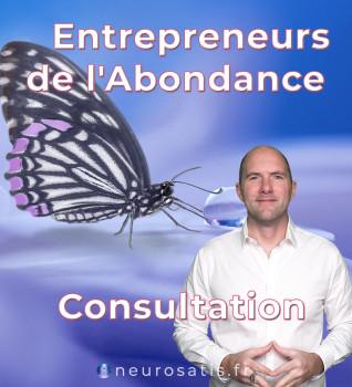 Consultation Entrepreneurs 40 minutes