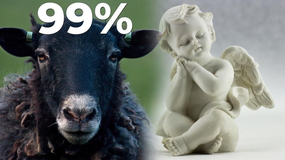 99% des veills se trompent...