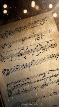 L'art SUBTIL de la COMMUNICATION VIBRATOIRE Au-del des mots - la magie de L'INTONATION