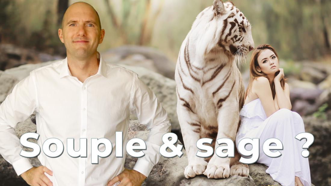 Souplesse d'Esprit et sagesse (Extrait Runion Anges de Lumire)