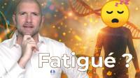 ADN en bullition: FATIGUS? Un moment unique (Guide pour surfer la vague cosmique)